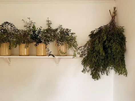 DIY Holiday Decor: Foraged Foliage Decorations in Designer Maria le Mesurier's Home - Gardenista Diy Holiday Decorations, Dried Citrus, Farmhouse Glam, Reading Diy, Birch Branches, Christmas In The City, Crabapple Tree, Glam Christmas, Diy Holiday Decor