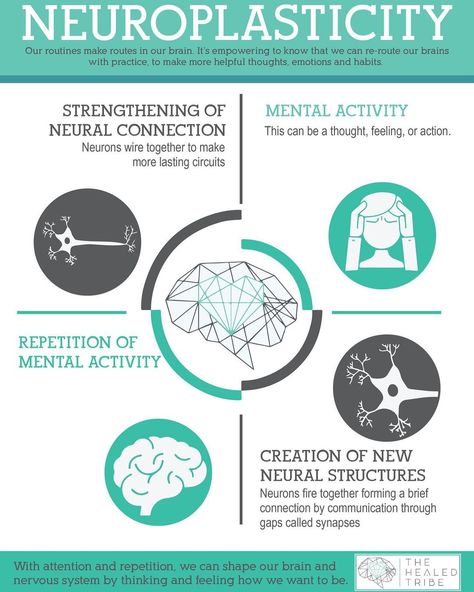 Brain Chat’s Instagram photo: “Neuroplasticity from @the.healed.tribe 🧠🧠🧠 https://www.thehealedtribe.com/blog/2020/1/15/limbic-system-hypersensitivity-pain-fatigue-…” Limbic System Retraining, Limbic System Brain, Neural Plasticity, Neuroplasticity Exercises, Endocrine System Hormones, Brain Chemicals, Neural Pathways, Multiple Chemical Sensitivity, Psychology Notes