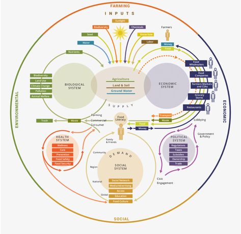 System Map, Data Visualization Design, Systems Thinking, Conceptual Understanding, Family Systems, Complex Systems, Food System, Food Security, Global Education