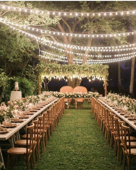 Backyard Engagement Parties, Peacock Chairs, Backyard Wedding Decorations, Small Backyard Wedding, Intimate Garden, Engagement Decor, Wedding Backyard Reception, Backyard Reception, Intimate Wedding Reception