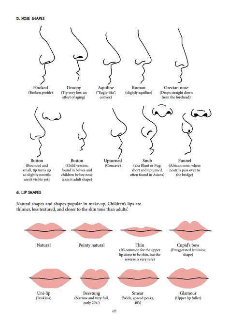 nose and lip shapes Skin Types Chart, Nose Types, Shape Chart, Face Reading, 얼굴 그리기, Nose Shapes, Lip Shapes, Nose Job, Book Writing Tips