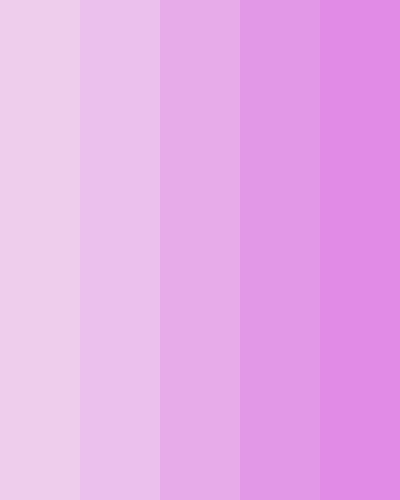 Rose Pink and Lilac Pink Purple Pastel Palette, Lilac And Pink Color Palette, Lilac Pink Aesthetic, Lilac Color Scheme, Aesthetic Boarders, Lilac Color Palette, Aesthetic Boarders Designs, Boarders Designs, Badminton Pictures