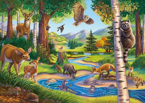 Forest Animals | Anne Wertheim Forest Drawing With Animals, Forest Cartoon, Forest Drawing, Forest Ecosystem, Scene Drawing, Forest Illustration, Forest Pictures, Forest Painting, Nature Drawing