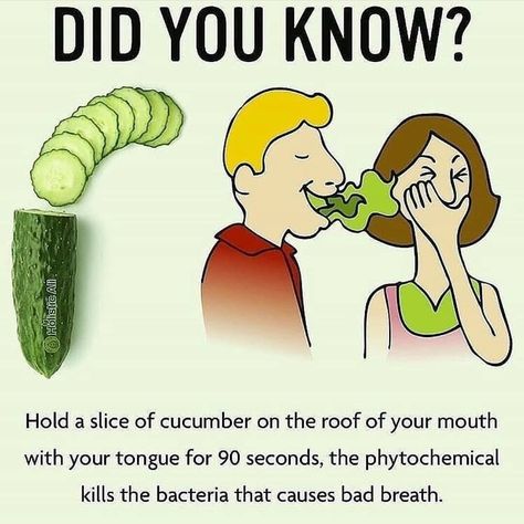 #naturopathic #diyremedies #holistichealth #naturalcure #healthbenefits #healthnut #remedy #vegan #homeremedy� #detoxwater #herbalremedy #naturalcures #homeremedies #naturalremedy #drsebi #naturalmedicine #naturalremedies #naturopathicmedicine #healthiswealth #naturopathy #alkaline #plantbasedvegan #alternativemedicine #letfoodbethymedicine #letfoodbeyourmedicine #healingwithfood #healthylifehappylife #healingfoods #mucuslessdiet #plantbaseddiet Obličejové Masky, Survival Life Hacks, Home Health Remedies, Survival Life, Everyday Hacks, Simple Life Hacks, Good Health Tips, Natural Health Remedies, Health Facts