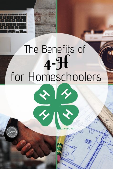 The Benefits of 4-H for homeschoolers #4H #homeschooling #extracurricula Citizenship Activities, Kindergarten Homeschool Curriculum, 4 H Club, Leadership Skill, Home Schooling, Become Successful, Operation Christmas Child, Preschool Curriculum, Scholarships For College