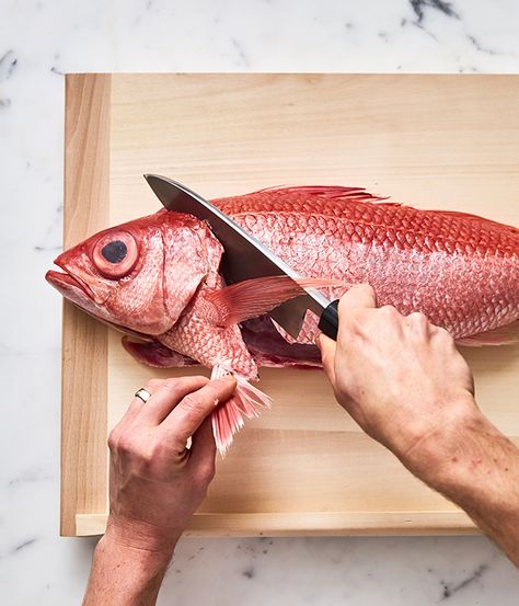 Learn how to fillet fish at home with this step-by-step guide from Josh Niland, chef and owner of Sydney seafood restaurant Saint Peter. For serious quality fish, there's no substitute for buying fish whole and filleting them yourself, according to Josh. Josh Niland, Best Knots, Cleaning Fish, Saint Peter, How To Cook Fish, Buy Fish, Dull Colors, Fish And Meat, Catching Fish