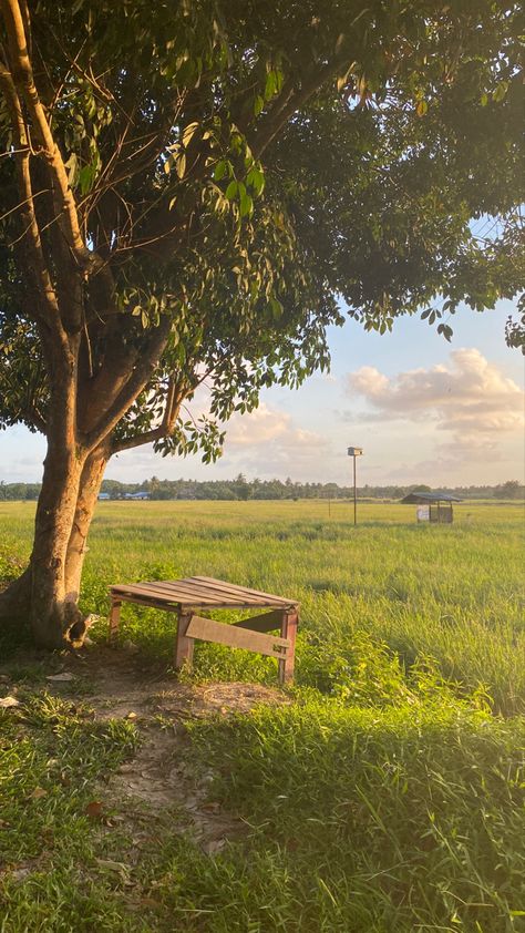 spent few hours at the paddy field in my hometown #studioghiblivibes Paddy Field Aesthetic, Philippines Countryside, Kubo Wallpaper, Paddy Field Photography, Indian Fields, Indian Village Photography, Province Aesthetic, Village Life Aesthetic, Hometown Aesthetic