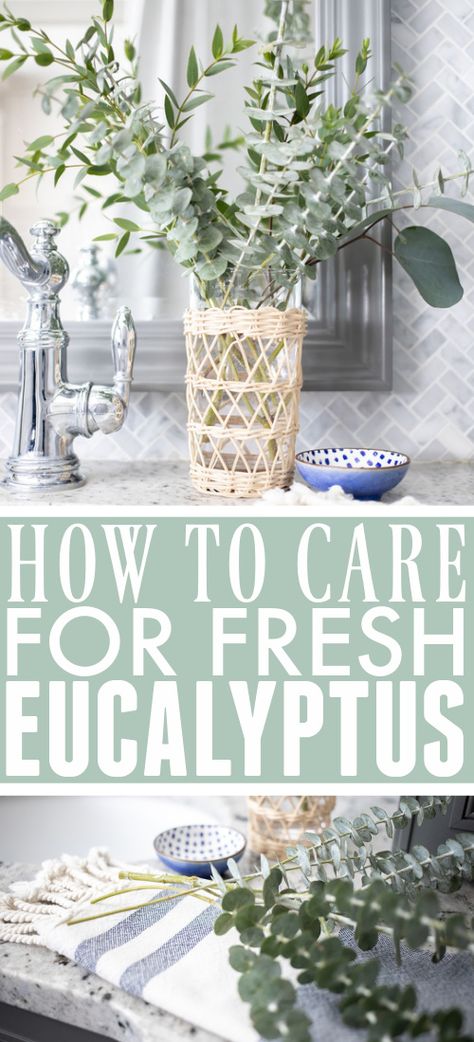 How to Care for Fresh Eucalyptus - The Creek Line House Eucalyptus Centerpiece, Living Space Decor, Fresh Eucalyptus, Dried Eucalyptus, Eucalyptus Branches, Spring Centerpiece, Diy Jar Crafts, Plants Indoor, House Smell