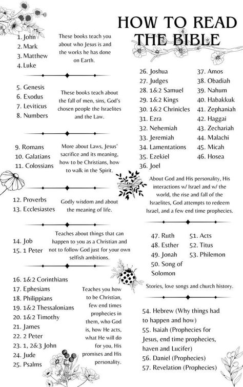 What Bible Chapter To Read, Read Bible In Order, Order Of Reading The Bible, Guided Bible Study For Women, Methods To Study The Bible, Bible Books To Read When, How To Read Bible Daily, How To Read Bible In Order, How Do You Read The Bible