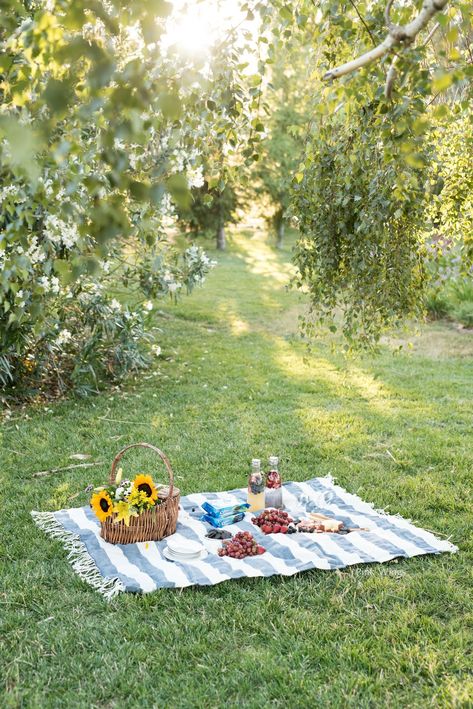 Cute Date Ideas, Picnic Inspiration, Picnic Essentials, Romantic Picnics, Decor Studio, Deco Nature, Picnic Date, Photography Beach, 수채화 그림