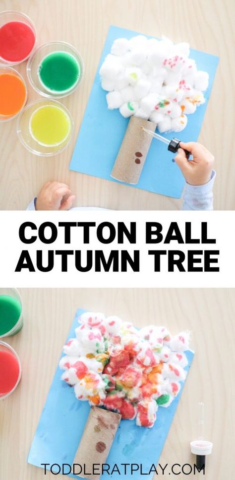 Pre K November Activities, Autumn Tree Craft, Cotton Ball Crafts, Fall Preschool Activities, Deco Champetre, Coop Ideas, Fall Activity, Fall Arts And Crafts, Toddler Arts And Crafts