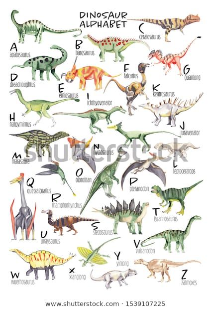 Watercolor Dinosaur, Dinosaur Alphabet, Playroom Posters, Abc Poster, Dinosaur Nursery, Poster Display, John James Audubon, Gallery Wall Frames, Alphabet Art