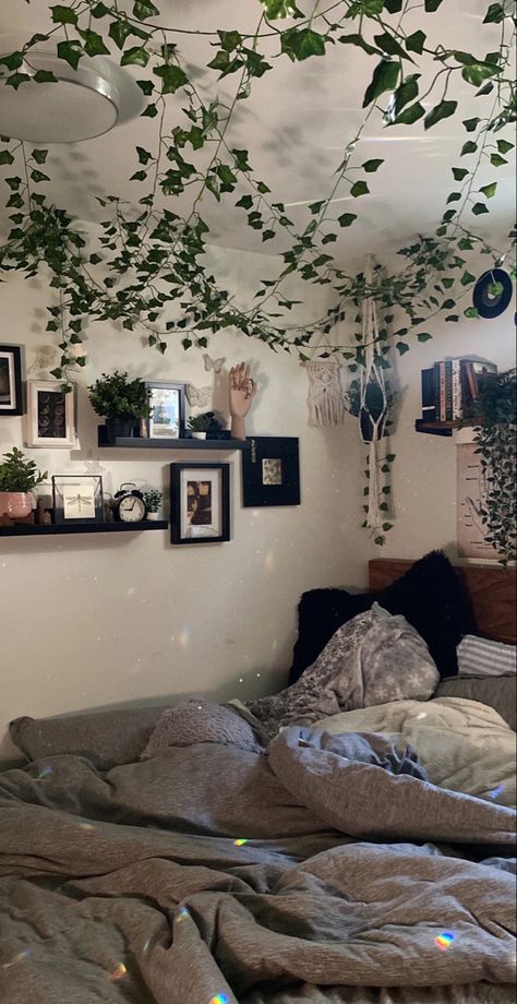 hanging vines, cute cozy bed, earthy hippie aesthetic Blue And Beige Room Ideas, Vines Across Ceiling, Cute Room Ideas With Vines, Draped Vines Bedroom, Room Decor Vines On Ceiling, Vines On Headboard, Room With Vines On Ceiling, Roof Vines Bedroom, Vines In Apartment