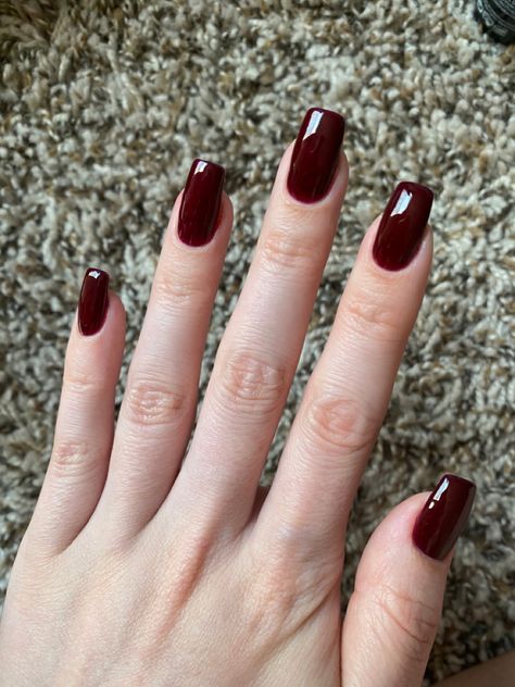 She is showing her nails which are short, square shaped, and dark red Nail Designs Square Shape Classy, Deep Red Square Acrylic Nails, One Color Nails Winter, Super Dark Red Nails, Manicure Dark Colors, Dark Cherry Red Nails Square, Very Dark Red Nails, Dark Nails Colors, Nail Colors Maroon