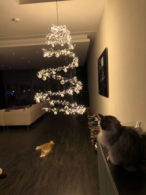 Cat Proof Xmas Tree, Christmas Tree Alternative Cat, Cat Proof Christmas Trees, Spiral Christmas Tree Decoration, Cat Proof Christmas Decorations, Cat Proof Christmas Tree Ideas, Christmas Tree Cat Proof, Christmas Tree For Cats, Spiral Tree Christmas