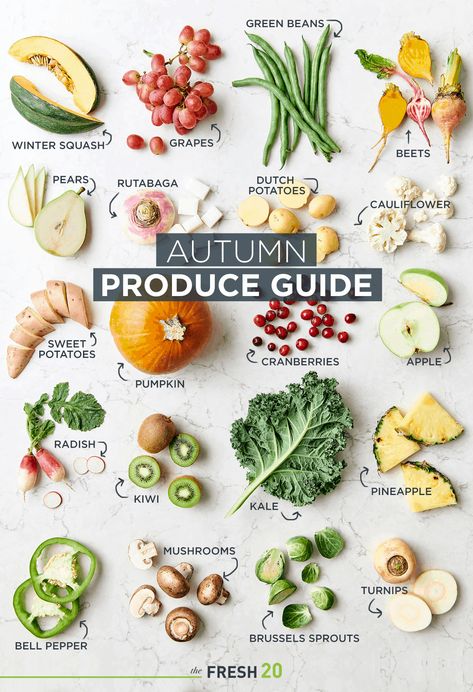 Fall Season Fruits And Vegetables, In Season Fall Produce, Fall Fruit In Season, In Season Fruits And Vegetables October, Fall Season Vegetables, Fruit And Veggie Season Chart, Fall Foods In Season, Eating With The Seasons Fall, Fall Fruits And Veggies