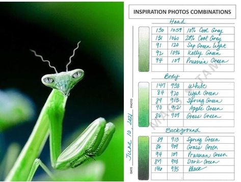 Prismacolor Color Combinations, Color Combinations Green, Color Names Chart, Gem Drawing, Blending Colored Pencils, Green Color Combinations, Prismacolor Art, Colored Pencil Tutorial, Color Schemes Colour Palettes