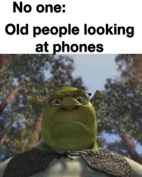 - - - - #memes #funny #humor #lol #comedy #hilarious #dankmemes #memeoftheday #instafunny #laughoutloud #muppets Hilarious Memes, Very Funny Jokes, Relatable Post Funny, Extremely Funny Jokes, Very Funny Pictures, Real Funny Jokes, Some Funny Jokes, Really Funny Joke, Old People