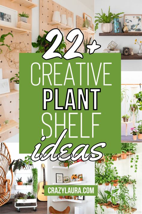 Plant Shelf Ideas, Window Plant Shelf, Indoor Plant Display, Indoor Plant Shelves, Plant Display Ideas, Indoor Plant Wall, Corner Plant, Window Plants, Kitchen Plants