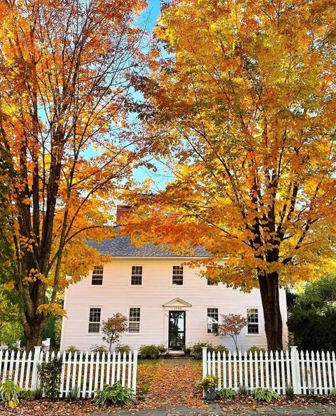 Early Colonial Homes (@earlycolonialhomes) • Instagram photos and videos Pink Bathrooms Designs, Downeast Maine, Colonial Homes, Primitive Colonial, Charming House, Pink Bathroom, Tone On Tone, Colonial Style, Colonial House