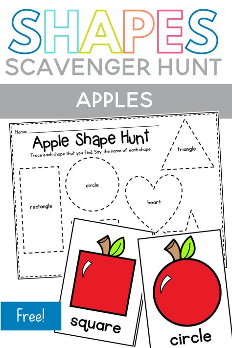 Looking for some apple math activities? This apple themed shape scavenger hunt is perfect for preschool or kindergarten students! It's the perfect apple math center! Shapes Scavenger Hunt, Tracing Shapes Worksheets, Preschool Apple Unit, Math Apple Activities, Shape Hunt, Apple Theme Activities, Self Connection, Preschool Apple Activities, Preschool Apple Theme