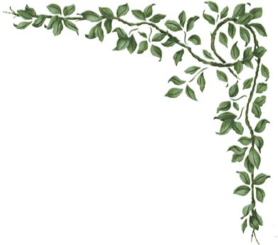 Plants: Free Borders for Scrapbooking. Leaf Corner Border, Paper Crafts Ideas, Narnia Quotes, Picture Borders, Wedding Plants, Vine Border, Leaf Border, Floral Border Design, Borders And Frames