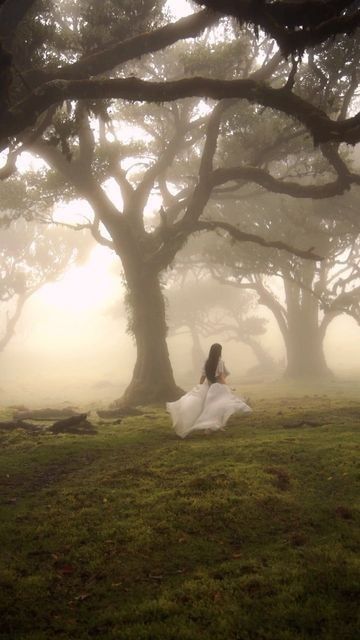 Connecting To Nature, Tree Grove, Fairytale Aesthetic, Creation Photo, Ethereal Aesthetic, Dreamy Photography, Ancient Tree, Princess Aesthetic, Witch Aesthetic