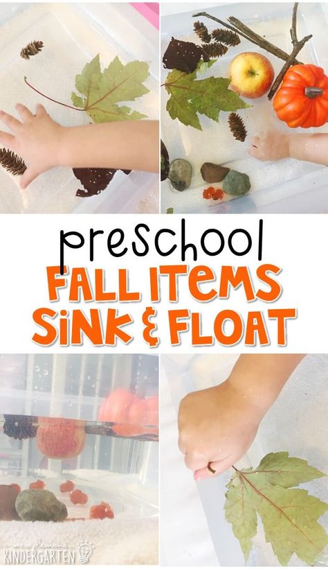 Harvest Time Activities For Toddlers, Fall Themed Activities, Fall Science Activities, Autumn Preschool Theme, Fall Science, Fall Lesson Plans, Activity Preschool, Fall Themes, Thanksgiving Crafts Preschool