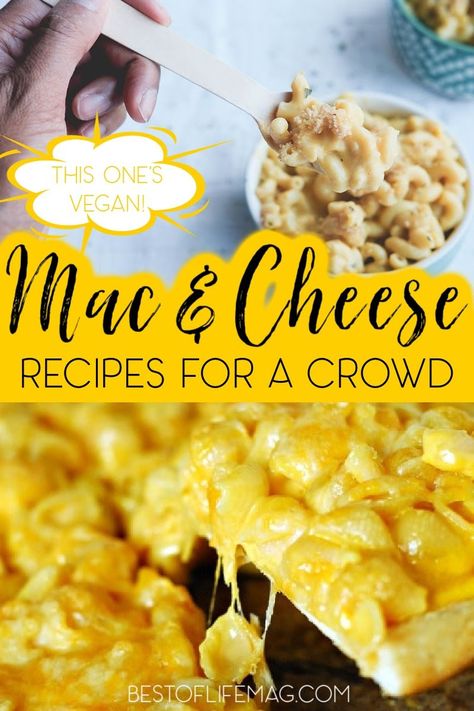 Macaroni and cheese recipes can transform a seemingly simple dish into a gourmet meal that can serve as a main dish or side dish. Macaroni and Cheese Ideas | Mac and Cheese Ideas | Recipes for Kids | Recipes for Parties | Cheesy Party Recipes | Easy Recipes for a Crowd | Unique Recipes for a Crowd | Homemade Macaroni and Cheese Recipes #dinnerrecipes #partyrecipes via @amybarseghian Mac And Cheese Ideas, Party Recipes Easy, Easy Crowd Meals, Party Main Dish, Recipes For Parties, Cheese Ideas, Homemade Macaroni And Cheese, Recipes For A Crowd, Best Crockpot Recipes