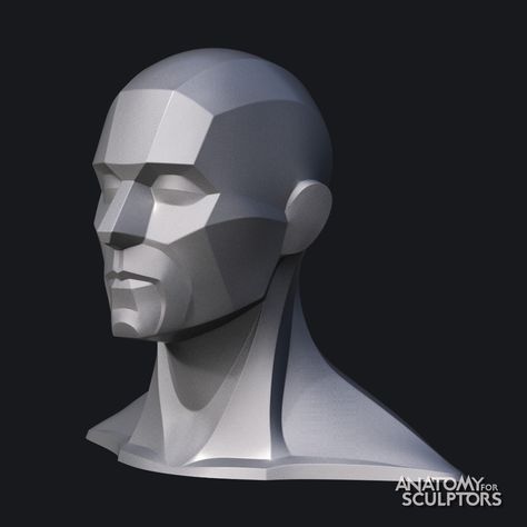 ArtStation - Male head 3D model block-out, Anatomy For Sculptors Anatomy For Sculptors, Planes Of The Face, Drawing Poses Male, Human Anatomy For Artists, Head Anatomy, Face Structure, Face Anatomy, Helmet Head, Anatomy Sculpture