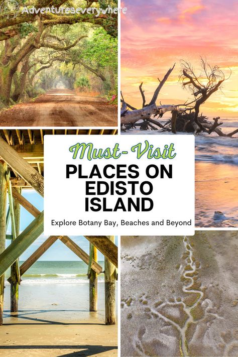 There are some truly hidden gems on Edisto Island in South Carolina, you only need to explore a little. We will help you find the best dolphin gazing spots, local cuizine, and the best beaches the island has to offer. Edisto Beach Sc, South Carolina Vacation, Edisto Beach, Edisto Island, Botany Bay, Go Usa, Cross Country Road Trip, Visit Places, South Carolina Beaches