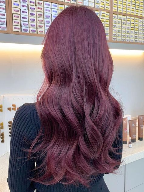 purple brown Korean hair color Korean Hair Color Ideas, Pelo Color Borgoña, Wine Hair Color, Plum Hair, Wine Red Hair, Korean Hair Color, Red Hair Inspo, Wine Hair, Cherry Hair