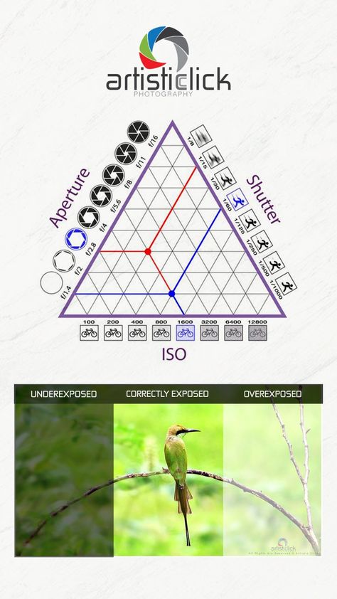 The exposure triangle is a common way of associating the three variables that determine the exposure of a photograph: aperture, shutter speed, and ISO. One must balance all three of these to achieve a desired result, an adjustment of one requiring adjustments of at least one of the others. Exposure Triangle, Photography Lessons, Photography Techniques, Shutter Speed, Shutters, Cinematography, Photography Tips, Photographer, Photography