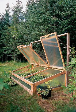 Diy Cold Frame, Cold Frame Diy, Plantarea Legumelor, Kolam Koi, Cold Frames, Plants Growing, Backyard Greenhouse, Greenhouse Plans, Veg Garden