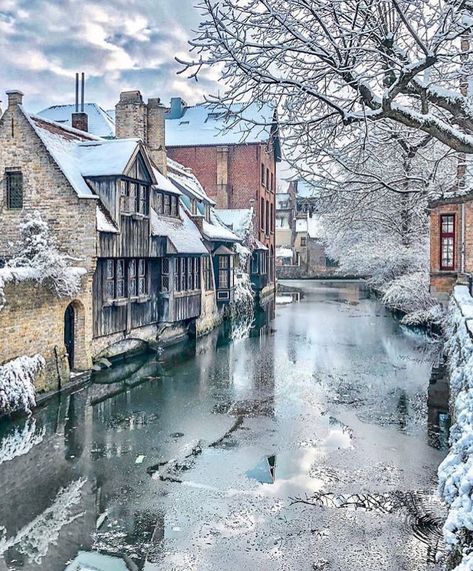 Brugge Belgium, Winter Landscapes, Float Trip, Traveling Abroad, Winter Landscape, Countries Of The World, Winter Scenes, Travel Insurance, Stunning View