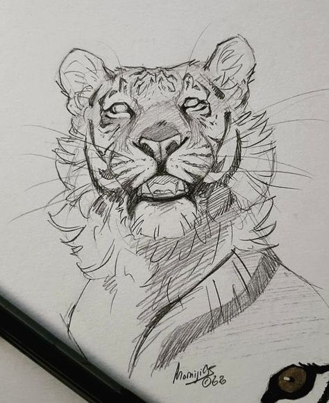 Drawing Eyes, Seni Pastel, Tiger Drawing, Animal Drawings Sketches, 그림 낙서, Desen Anime, 강아지 그림, Tiger Art, Arte Sketchbook