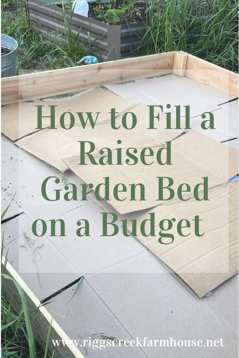 Filling a garden bed on a budget with cardboard Filling A Garden Bed, What To Layer In Raised Garden Bed, Raised Bed Garden Layers, How To Build Raised Garden Beds Cheap, Raised Garden Beds On A Budget, Fill Garden Bed Cheap, Raised Garden Bed Filler Ideas, Affordable Raised Garden Bed, Layering Garden Beds