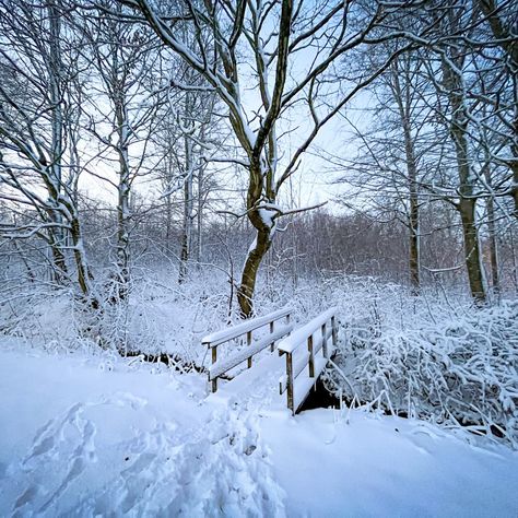 Embark on an enchanting journey through the snow-covered forests of Bidstrup Skovene 🌲😍

Discover the serene beauty of winter as you explore nature's snowy wonders ❄️

📍 Bidstrup Skovene, Zealand, Denmark Winter In Denmark, Denmark Forest, Frozen Forest Aesthetic, Snowy Forest Aesthetic, Snowy Forest Reference, Beauty Of Winter, Explore Nature, Denmark, Forest