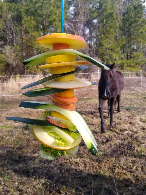 Diy Horse Toys, Toys For Horses, Homemade Horse Treats, Livestock Shelter, Horse Paddock, Horse Farm Ideas, Horse Barn Ideas Stables, Paddock Paradise, Horse Care Tips