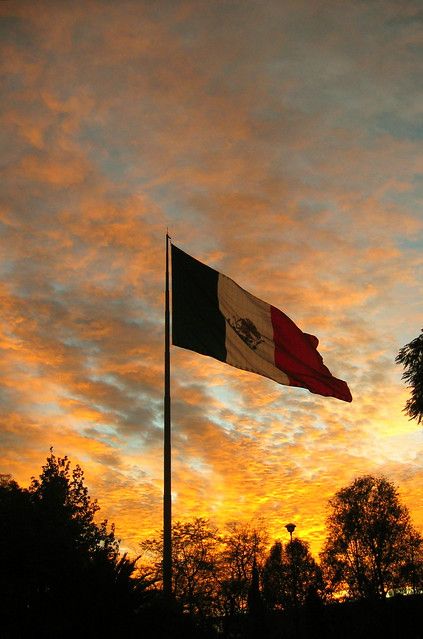 Sunset Flag, Mexico Wallpaper, City Sunset, Sunset Beautiful, Mexican Heritage, Mexico Culture, Mexican Flag, Mexican Flags, Mexico Flag