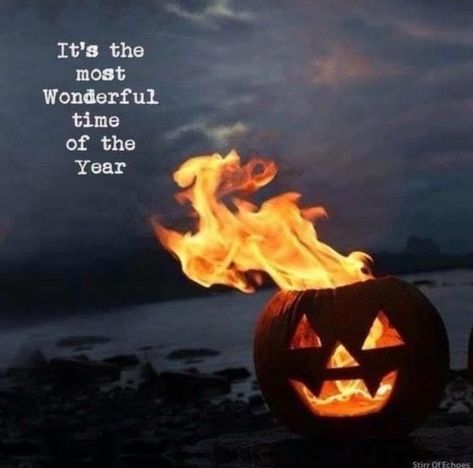 Marla Singer, Samhain Halloween, Halloween Memes, Halloween Quotes, Theme Halloween, Wonderful Time Of The Year, Samhain, Halloween Horror, A Pumpkin