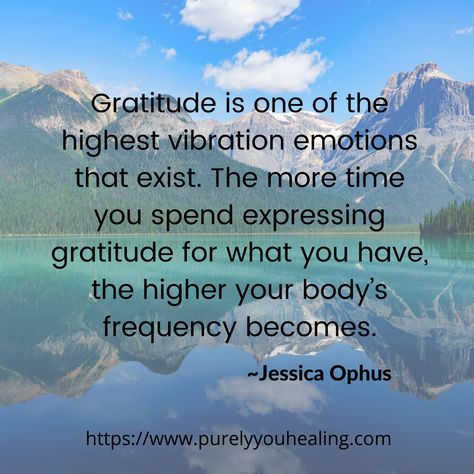 Gratitude is one of the highest vibration emotions that exist. #blog #blogpost #purelyyouhealing #inspiration #quotes #gratitude #vibration #energy Highest Vibration Quotes, Low Vibrational Energy Quotes, Positive Energy Quotes Spirituality, High Vibration Quotes, Esoteric Science, Vibration Quotes, Attitude Of Gratitude Quotes, Vibrations Quotes, Metaphysical Quotes