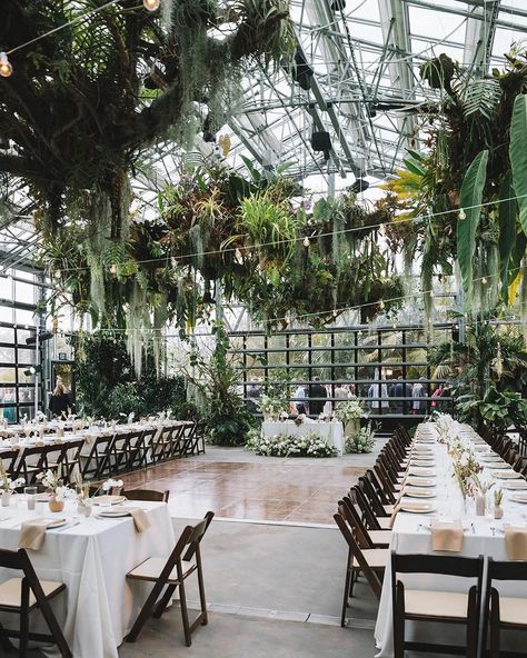 Iman Lee | Destination Events | A look into this beautiful indoor garden wedding with reception details 🤍 Planner @imanleeevents Photographer @_ginandjuly… | Instagram Greenhouse Wedding Centerpieces, Botanical Garden Wedding Decor, Botanical Garden Wedding Reception, Wedding Reception Greenhouse, Wedding Venue Greenhouse, Indoor Reception Ideas, Houseplant Wedding, Socker Greenhouse Wedding, Botanical Greenhouse Wedding