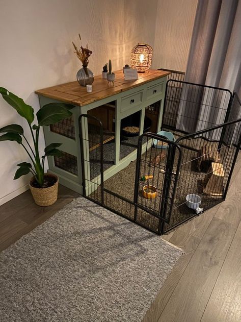 Indoor Bunny House, Diy Bunny Cage, Indoor Rabbit House, Indoor Rabbit Cage, Diy Guinea Pig Cage, Rabbit Enclosure, Rabbit Habitat, Pet Rabbit Care, Puppy Room