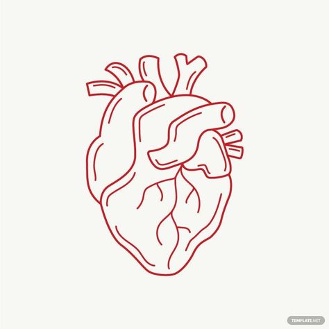 Real Heart Outline, Heart Real, Real Heart, Image Graphic, Outline Illustration, Heart Outline, Heart Illustration, Heart Pin, Design Element