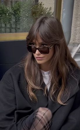 Celebrity With Bangs, Brunette Bangs Aesthetic, Chic Long Hair, 1920s Hair With Bangs, 2024 Hair Bangs, Dark Hair Trends 2024, Brown Hair Cool Highlights, Bangs And Brown Hair, Rich Haircut