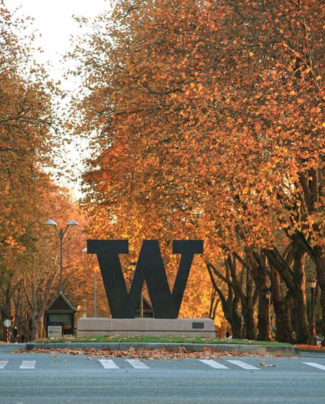 UW's Memorial Way during the fall! University Of Washington Seattle Campus, Uw Huskies, Entrance Signage, University Of Washington Huskies, College Vision Board, Washington State University, Xmas 2024, Washington University, College Aesthetic