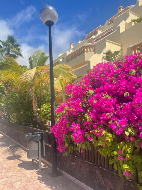 Tenerife Holiday Tenerife holiday Summer holiday Holiday with boyfriend Holiday ideas Holiday pins Tenerife flowers Tenerife scenery Holiday Tenerife, Holiday Pins, Holiday Pictures, Dream Job, Summer Holiday, Holiday Inspiration, Spain Travel, Dream Vacations, Lamp Post