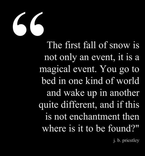 Snow Quotes, Birthday Story, First Snowfall, Season Quotes, Winter Quotes, Snow Fall, Best Friend Poems, Late Autumn, Early Winter