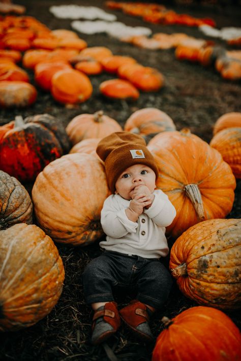 6 Month Pumpkin Photos, Infant In Pumpkin Picture, Pumpkin Patch Infant Photos, Pumpkin 6 Month Pictures, Pumpkin Patch Photos With Baby, Baby With Pumpkin Pictures, 3 Month Pumpkin Pictures, Fall Pumpkin Patch Photo Shoot Family, Baby First Fall Pictures